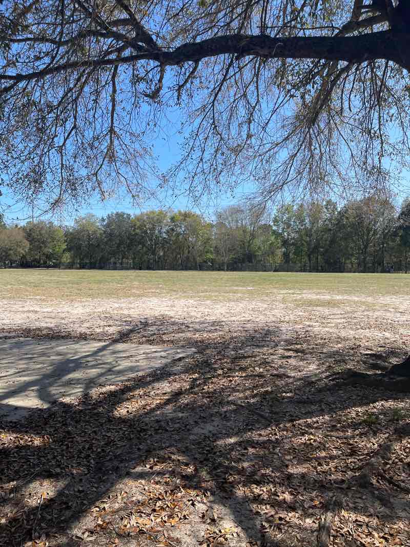 walking near me in Huffman Boulevard Park in spring