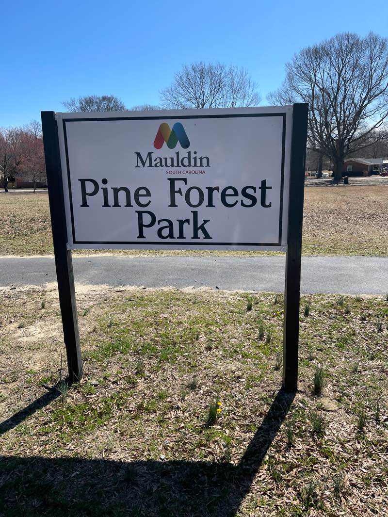 walking near me in Pineforest Park in spring