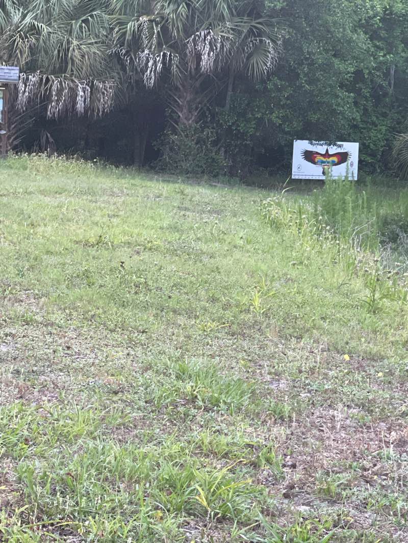 walking near me in Crosby Sanctuary in spring
