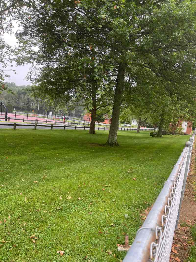 walking near me in Community House Park in summer