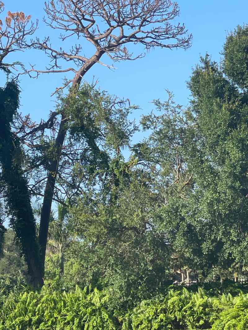 walking near me in R.W. Caldwell Park in autumn