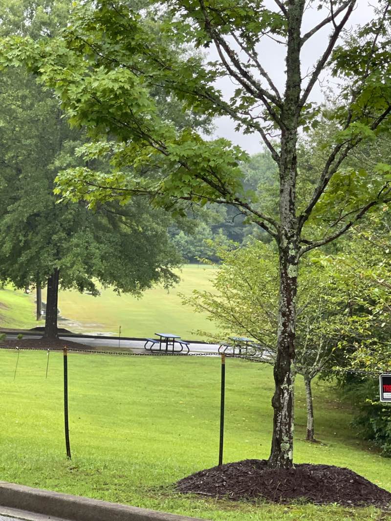walking near me in Wenwood Soccer Complex in autumn