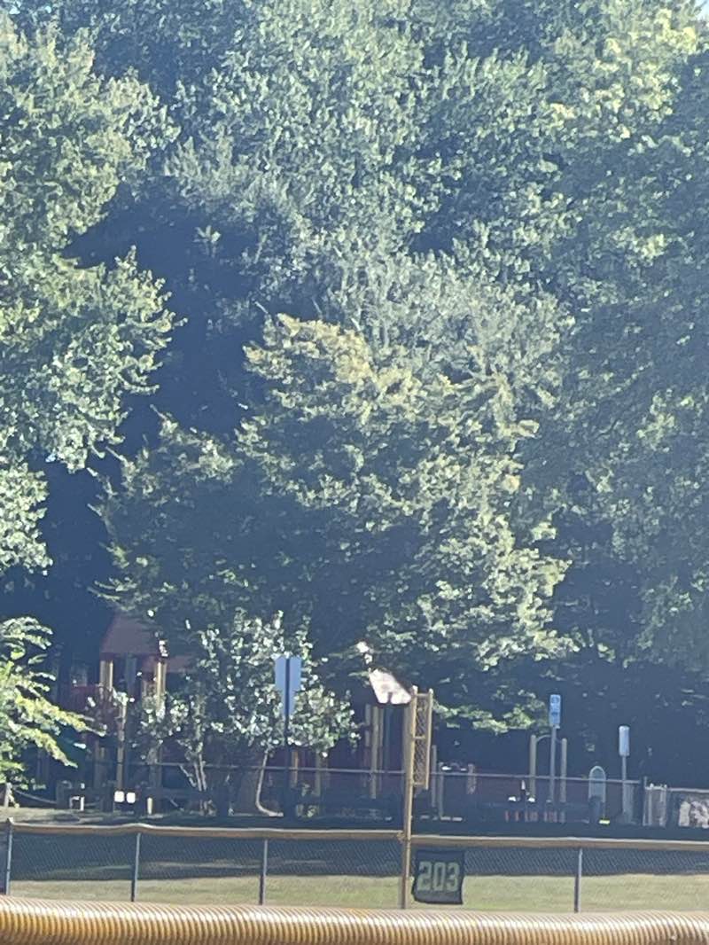 walking near me in Bassett Park in autumn