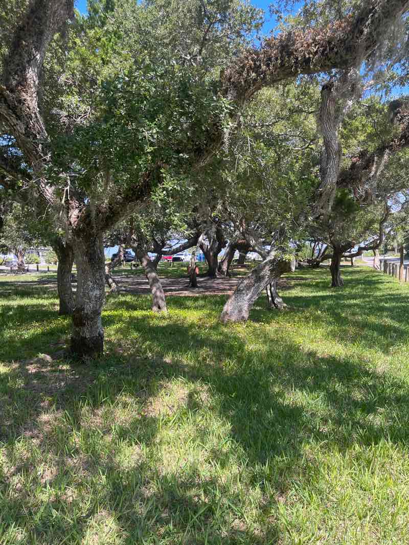 walking near me in Lighthouse Park in autumn