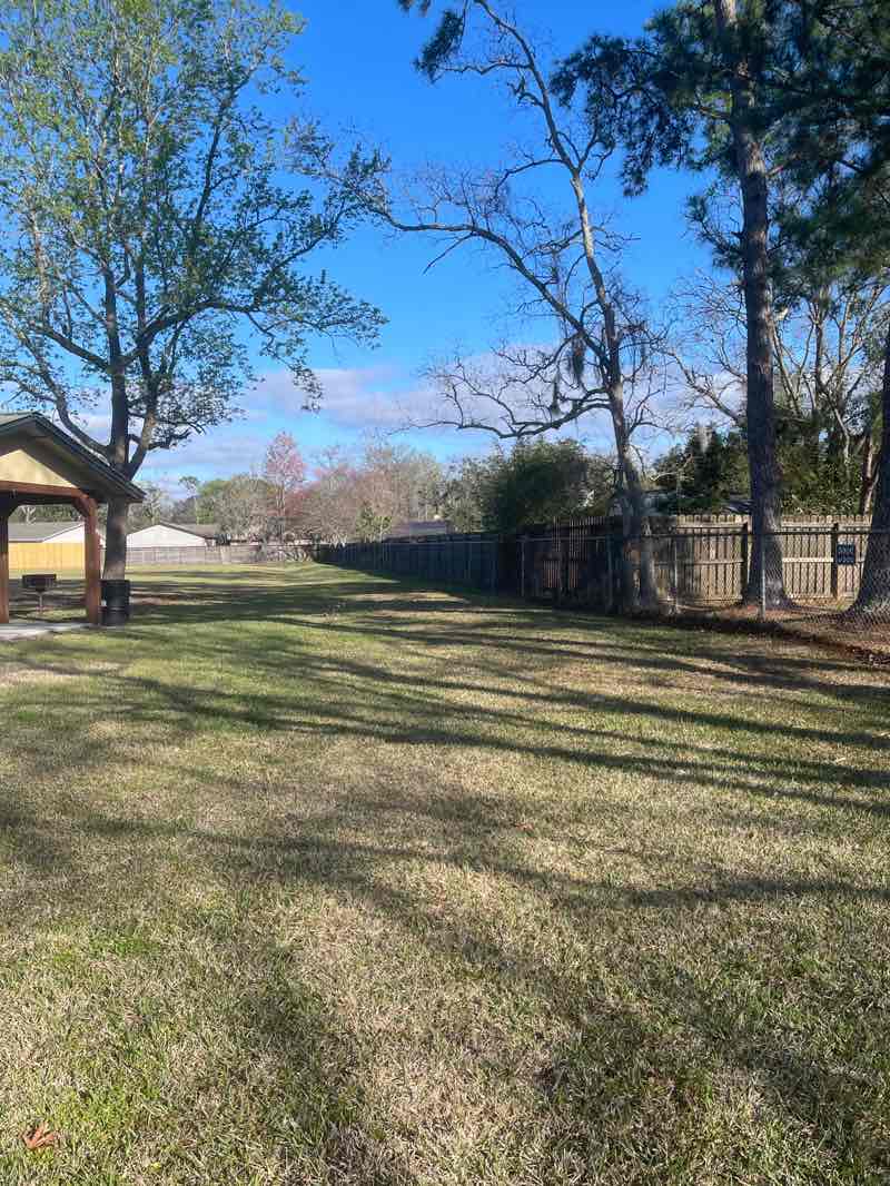 walking near me in Island Forest Park in spring