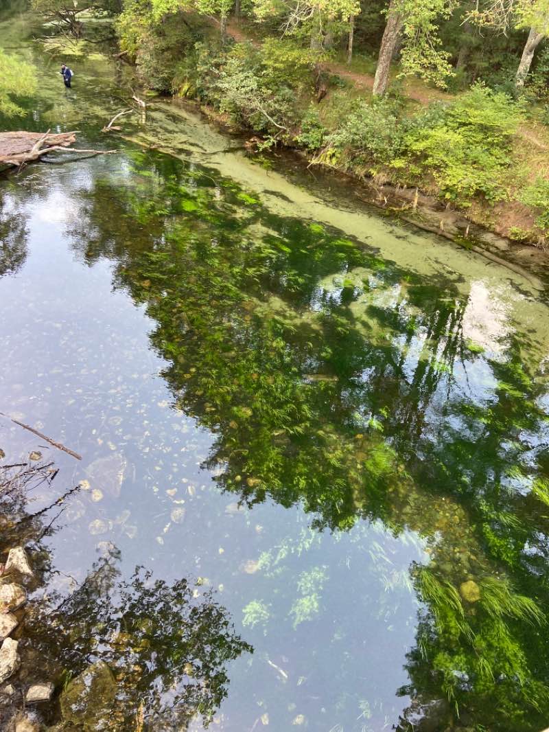 walking near me in Herman Covey Wildlife Management Area in winter