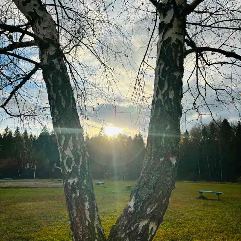 Svetl_Svetlay 🤍💙❤️ post 3