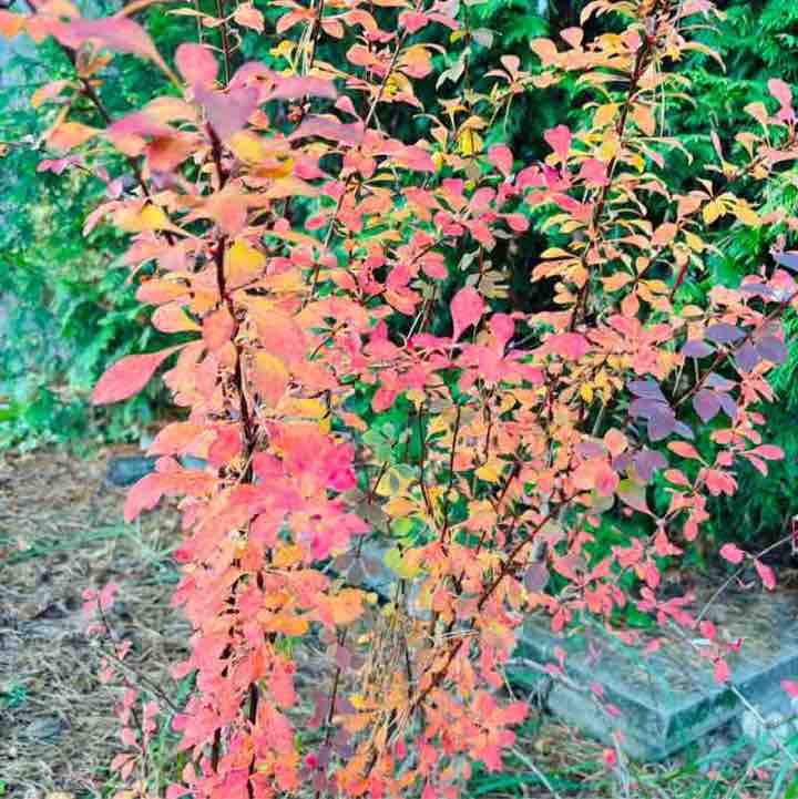 Svetl_Svetlay 🤍💙❤️ post 3