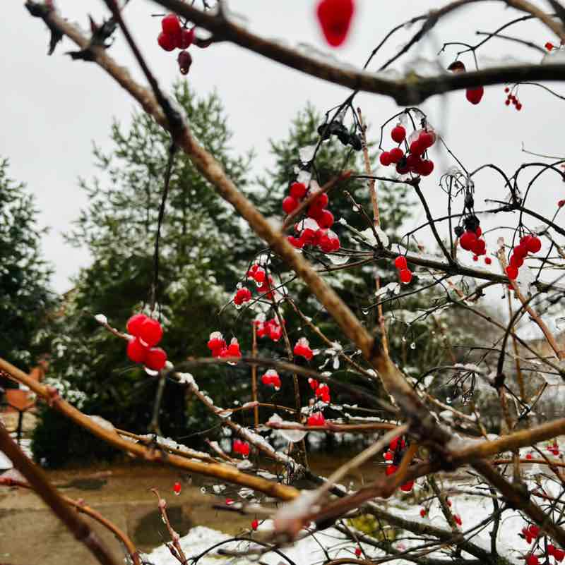 Svetl_Svetlay 🤍💙❤️ post 3