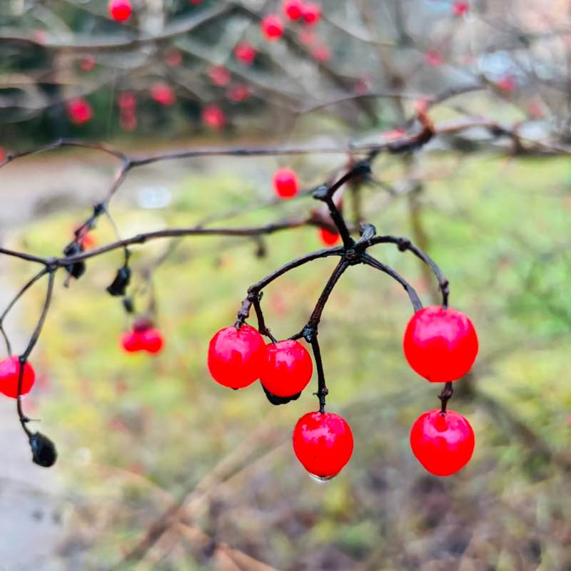 Svetl_Svetlay 🤍💙❤️ post 3