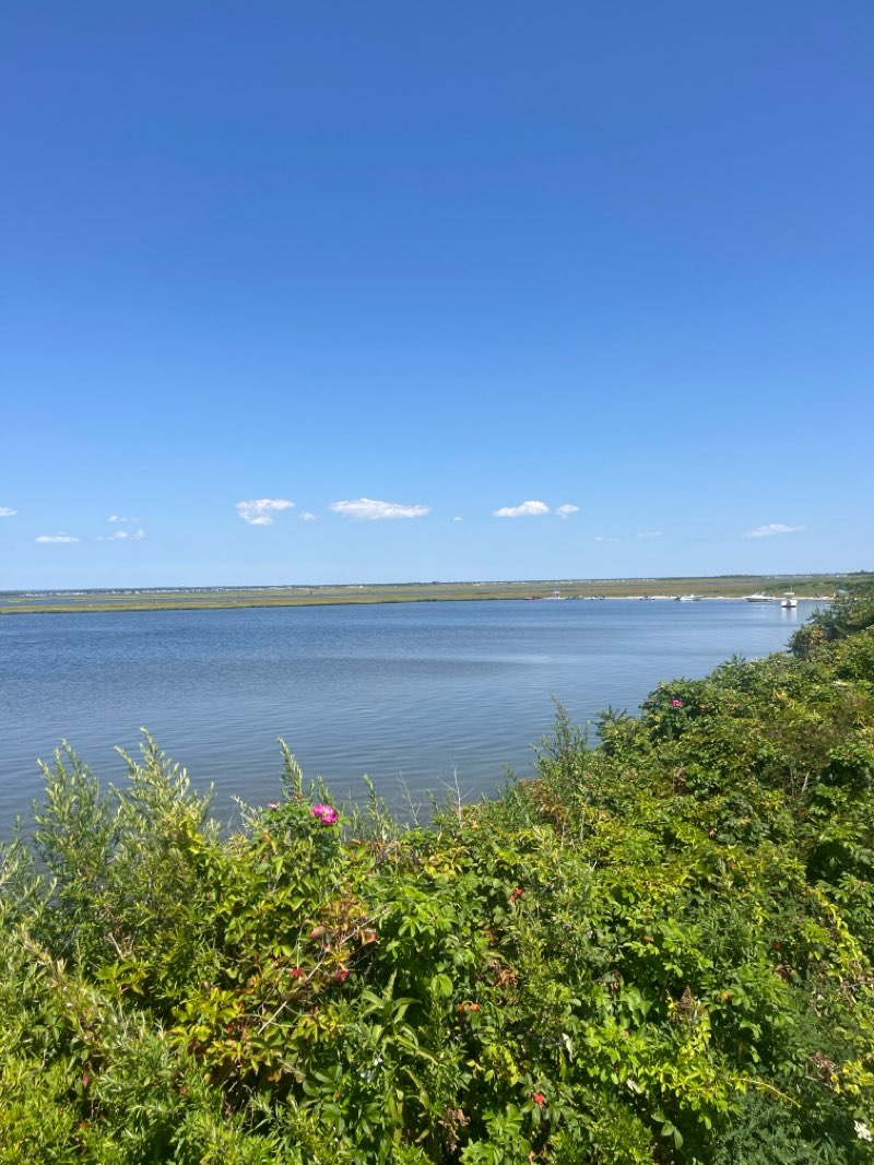 walking near me in Gilgo State Park in autumn