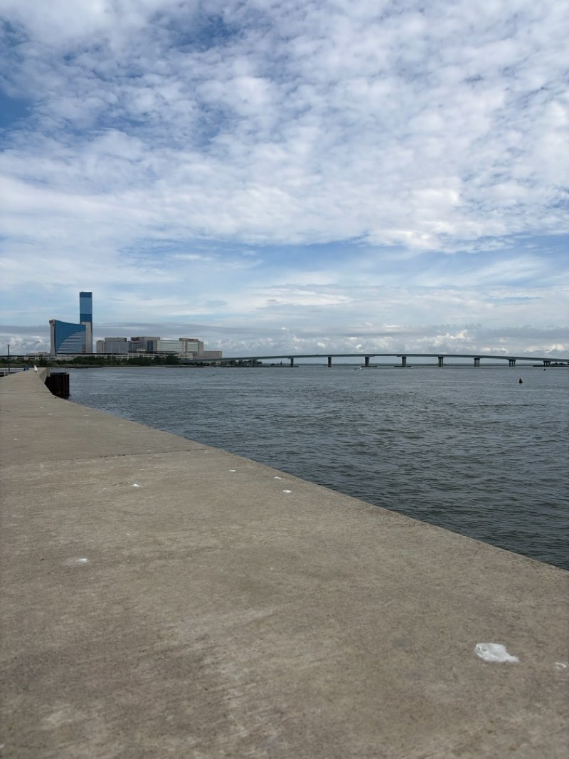 walking near me in Ocsar E. McClinton Jr. Waterfront Park in summer