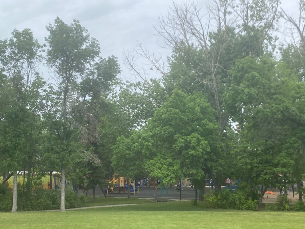 walking near me in Douglas Park in winter