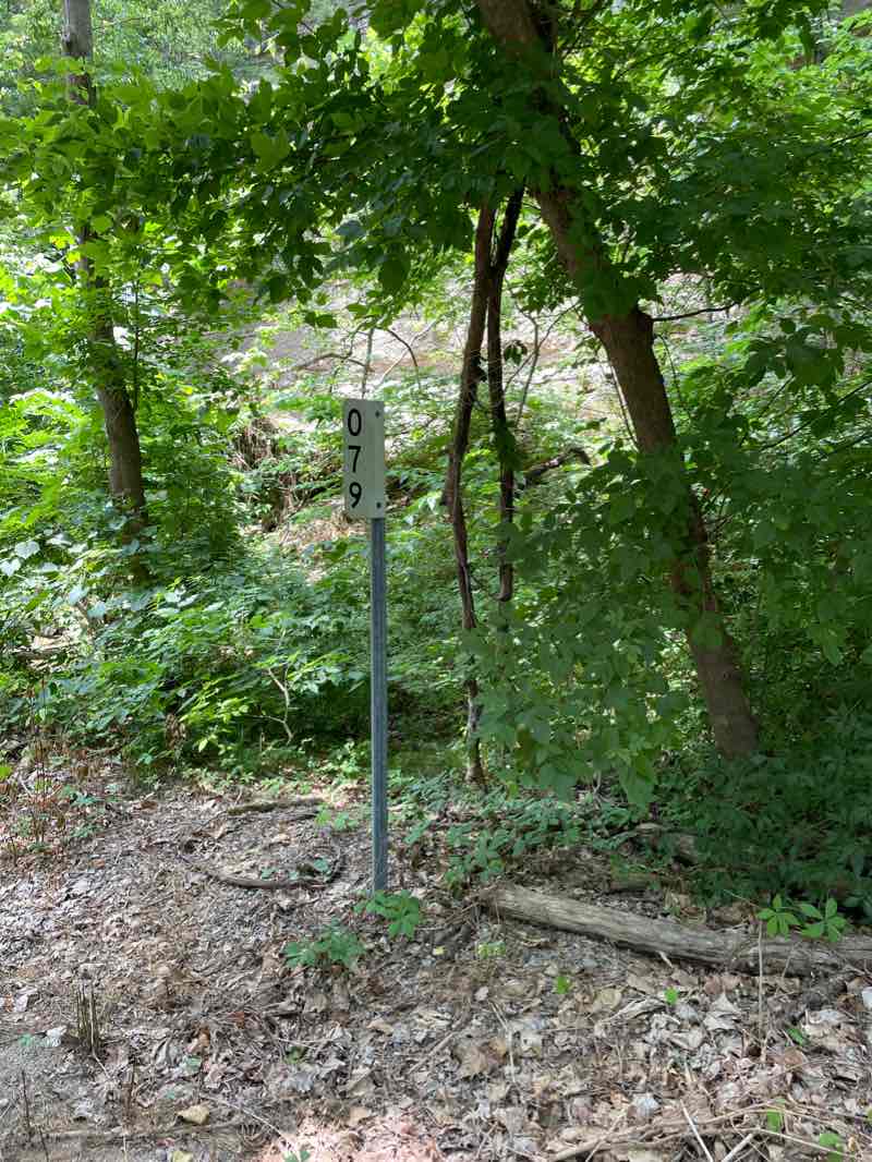 walking near me in Katy Trail State Park - Dutzow Trailhead in winter