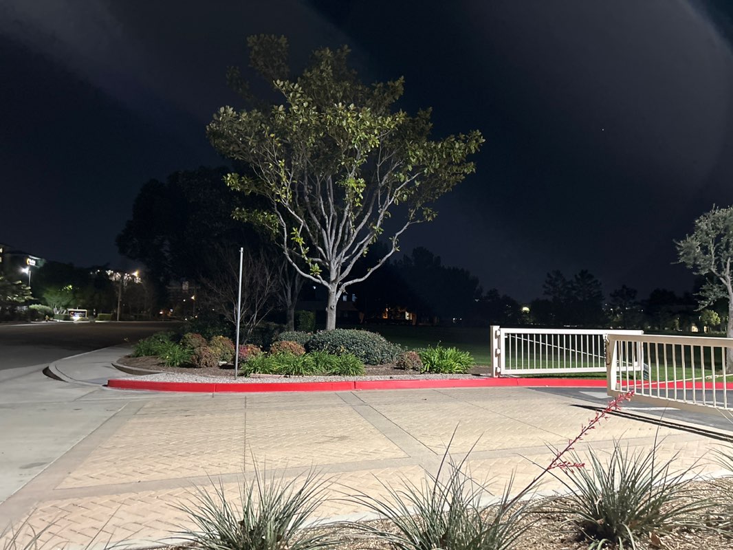 walking near me in Carpenter's Union Park in winter