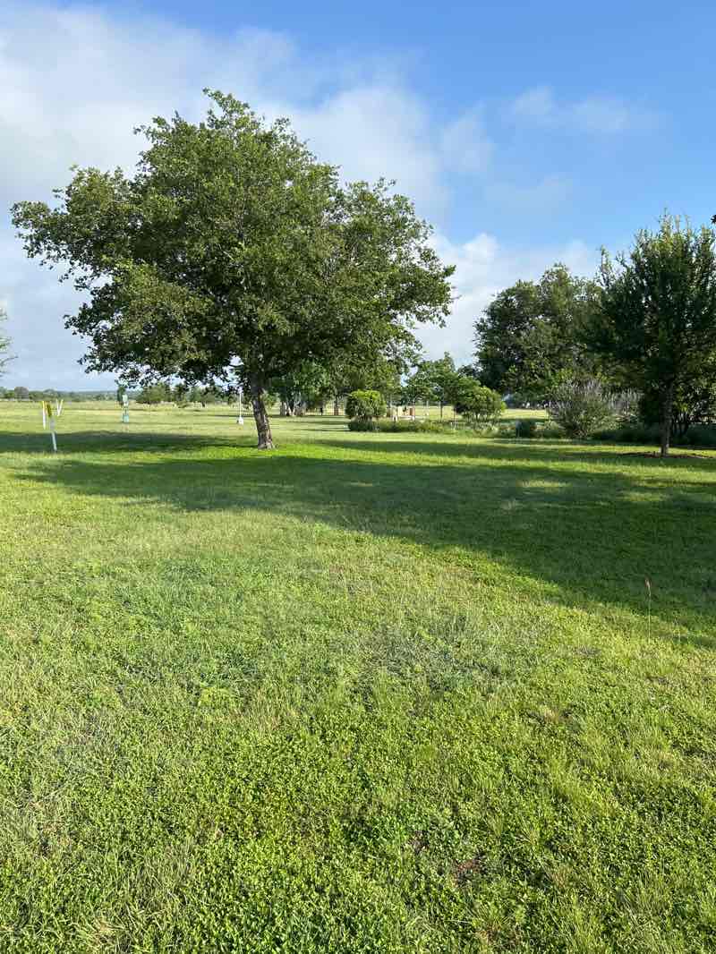 walking near me in Bulverde Community Park in summer