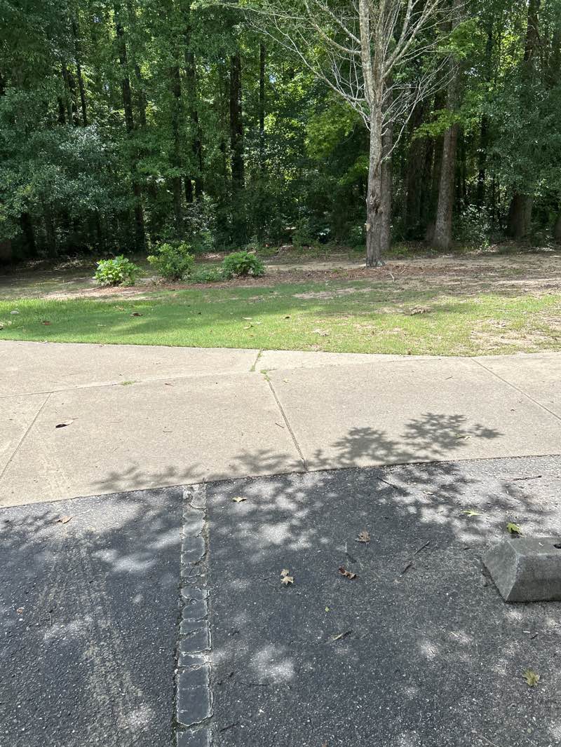 walking near me in Town Creek Park in summer