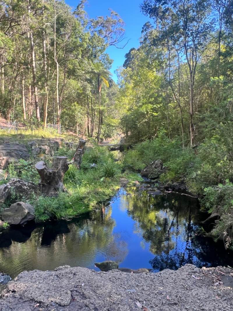 walking near me in Hornsby Park in summer