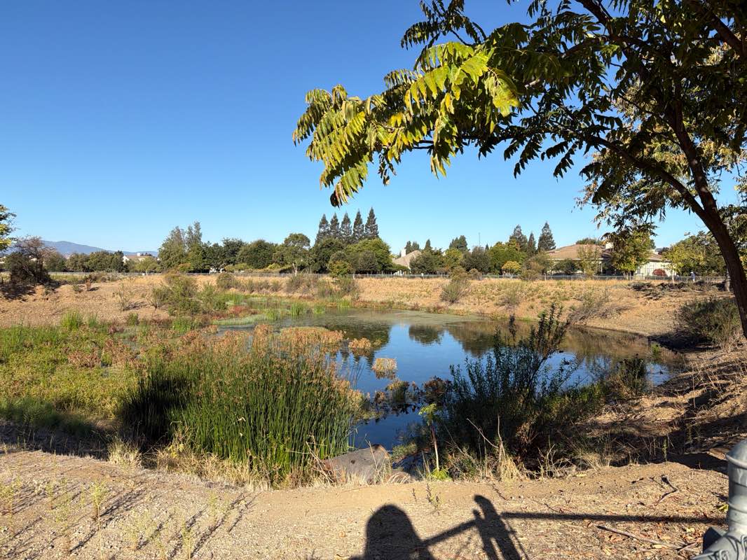 walking near me in San Pedro Percolation Ponds in autumn