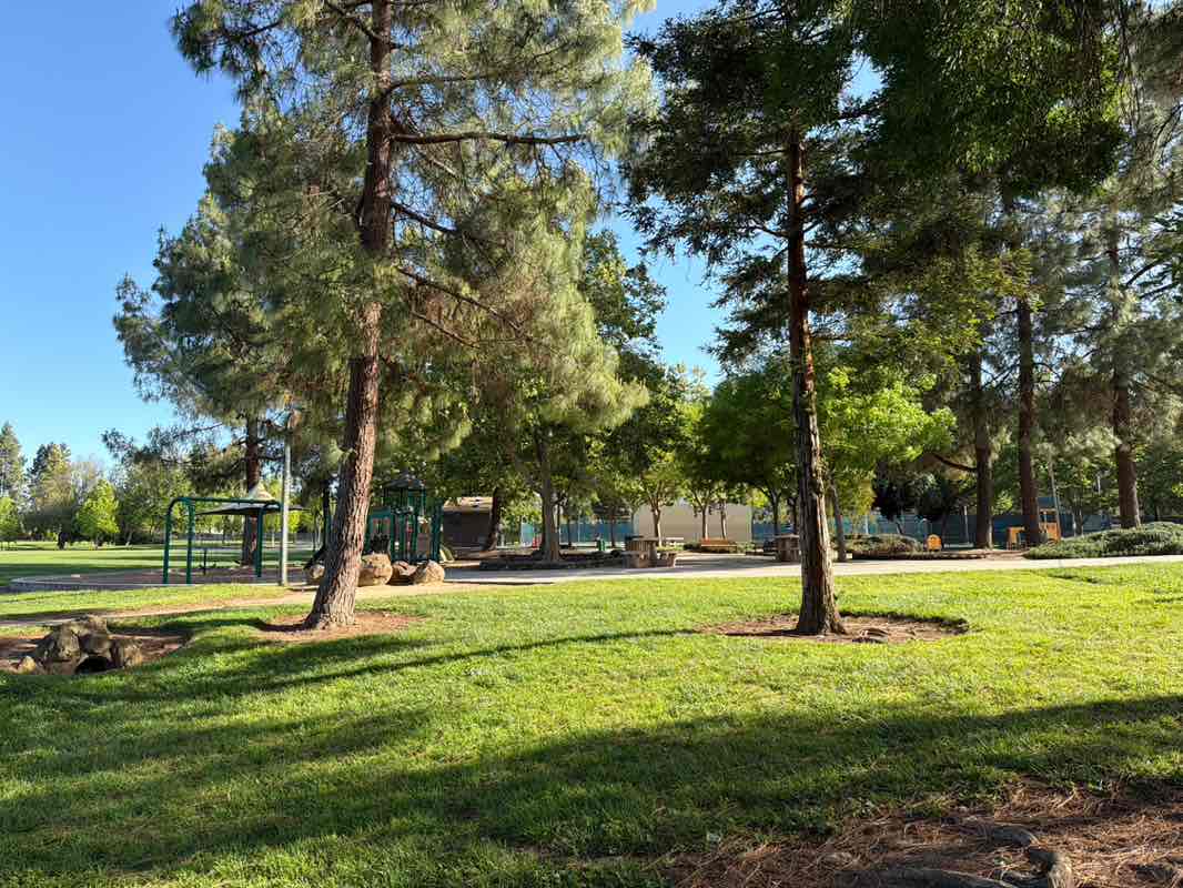 walking near me in Las Animas Park in spring