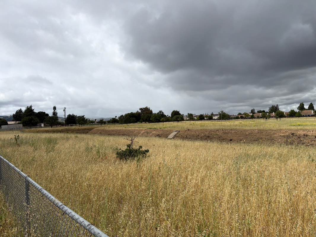 walking near me in San Pedro Percolation Ponds in spring