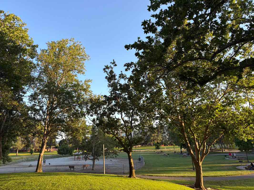 walking near me in Las Animas Park in summer