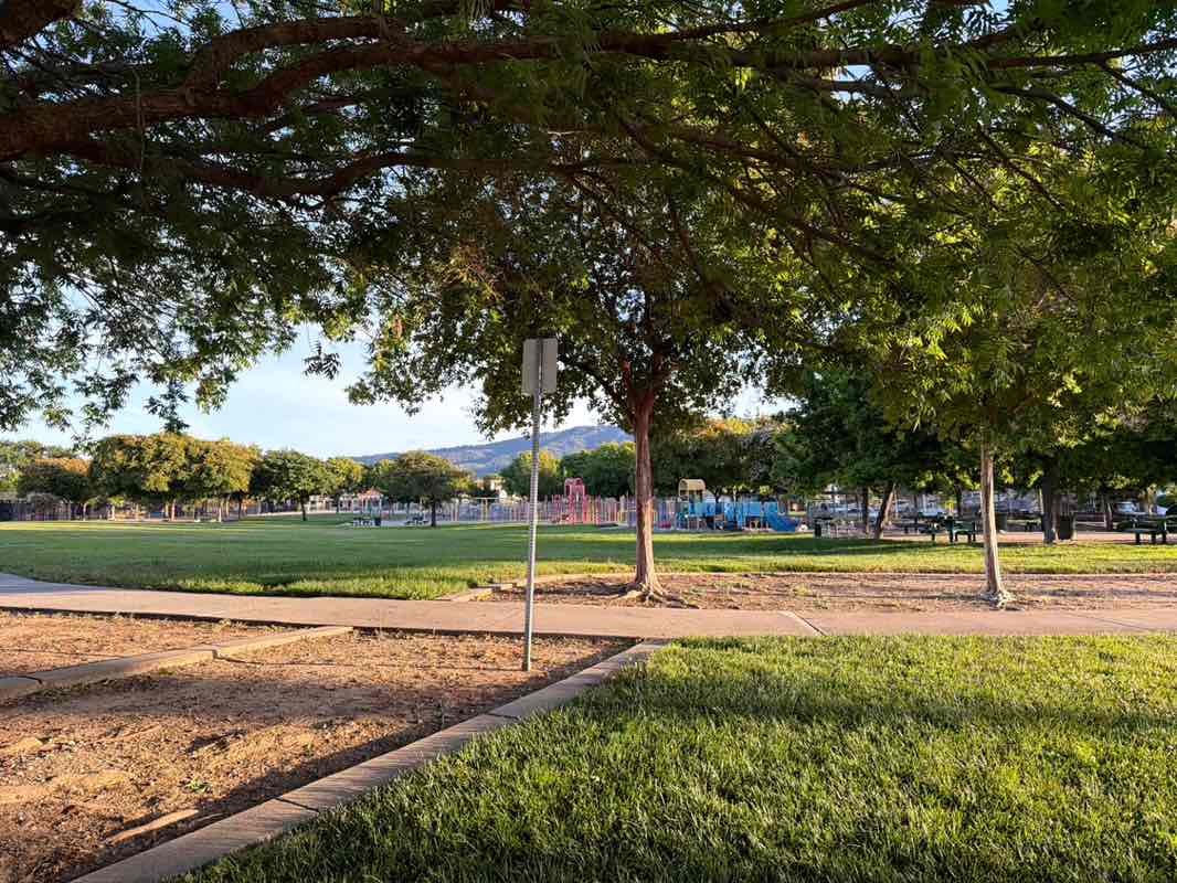 walking near me in Rainbow Park in summer