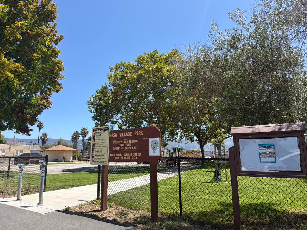 walking near me in Mesa Village Park in summer
