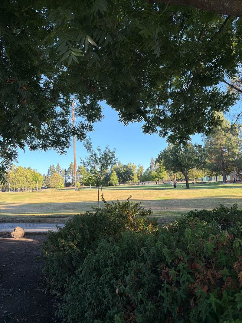 walking near me in Las Animas Park in summer