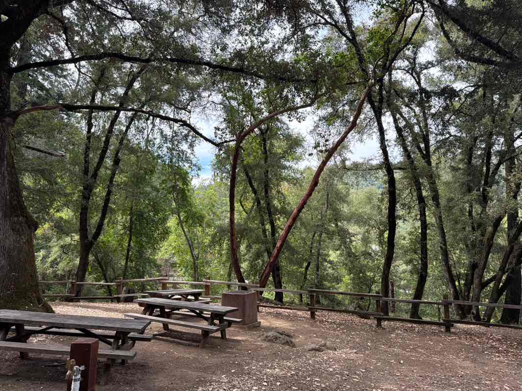 walking near me in Uvas Canyon County Park in summer
