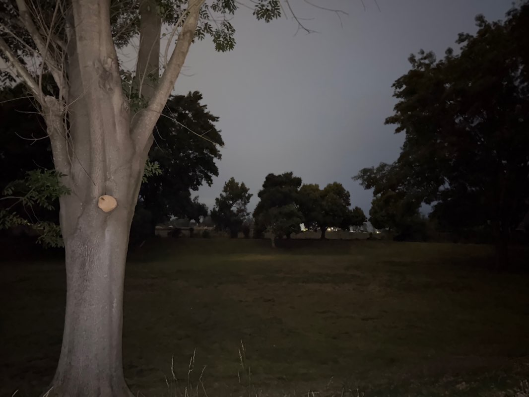 walking near me in Crestview Park in summer
