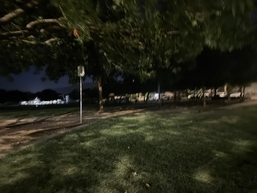 walking near me in Rainbow Park in summer