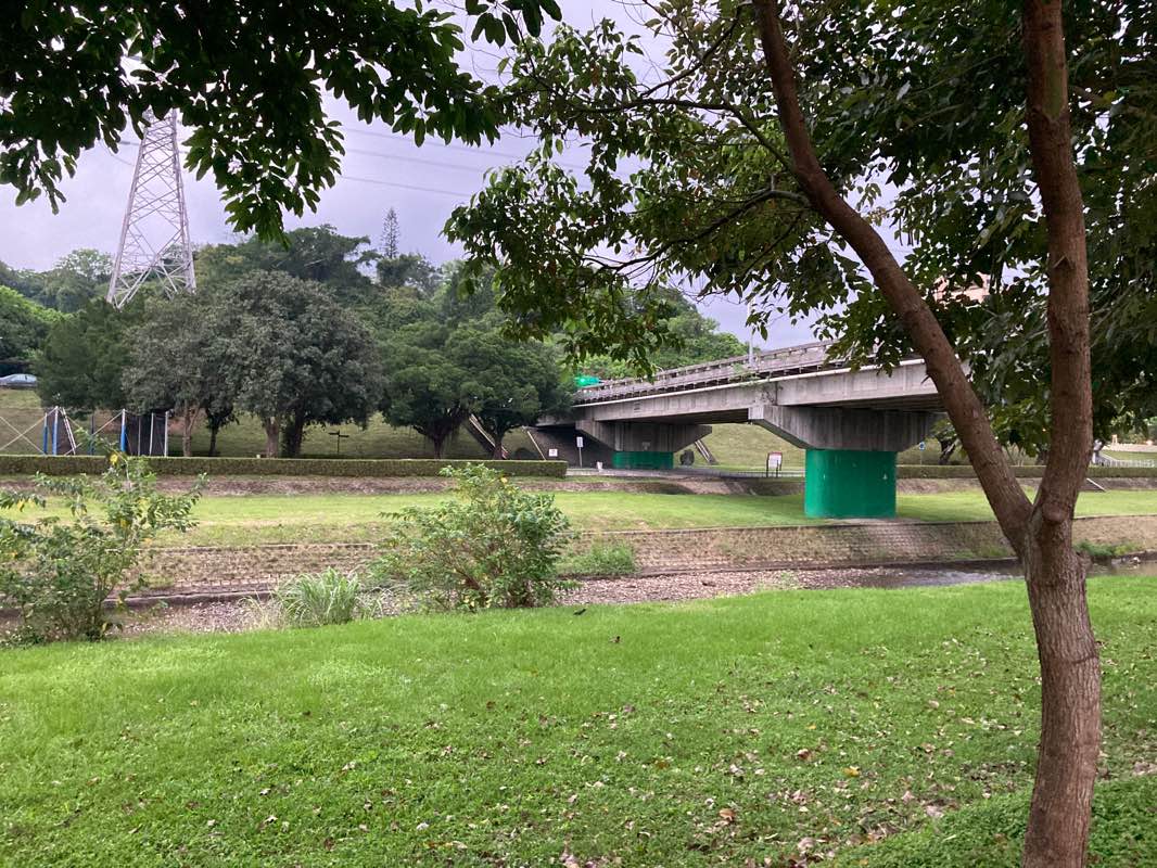 walking near me in DongYang Park in winter