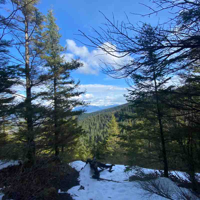 🇲🇽❤️🌹Linda🌹❤️🏔🏕🇲🇽 post 3