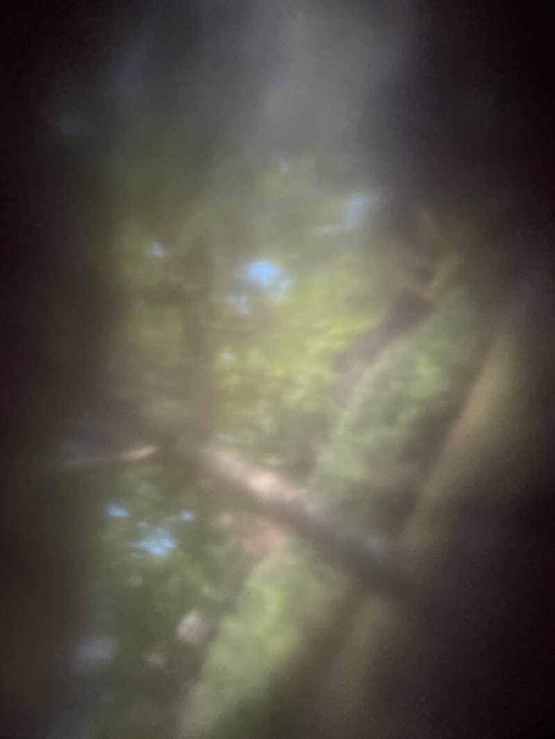 walking near me in Folly Branch Stream Valley Park in winter