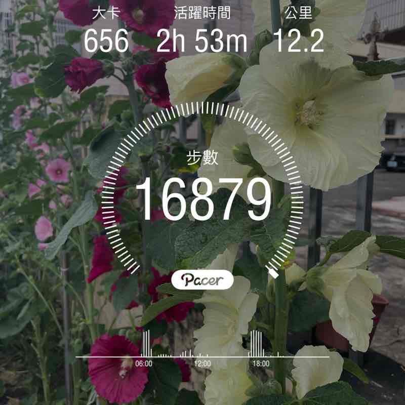 明相 post 1
