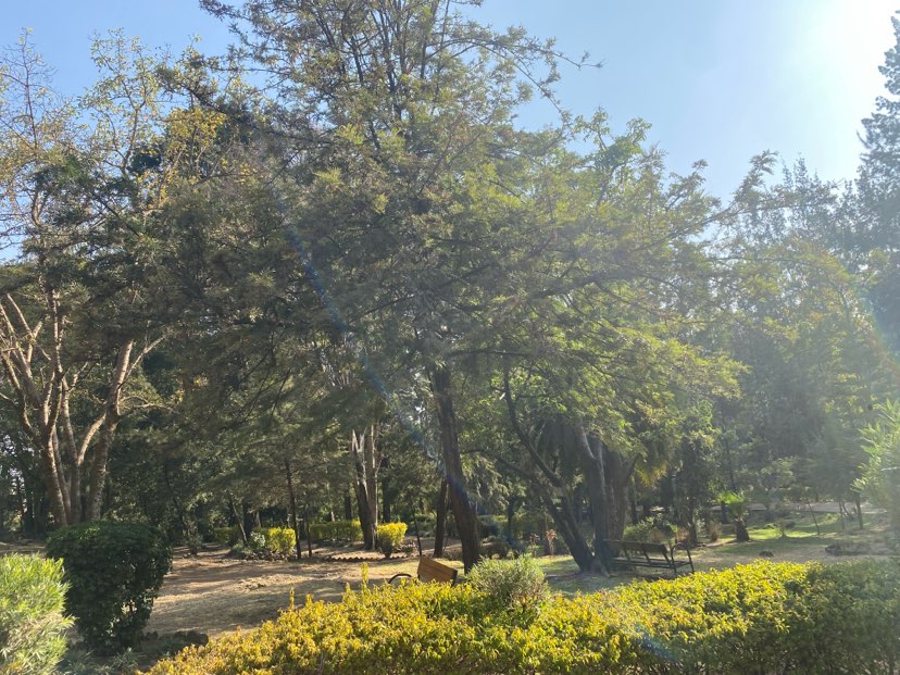 walking near me in Bihere Tsige Park in winter