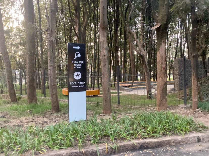 walking near me in Central Park in winter