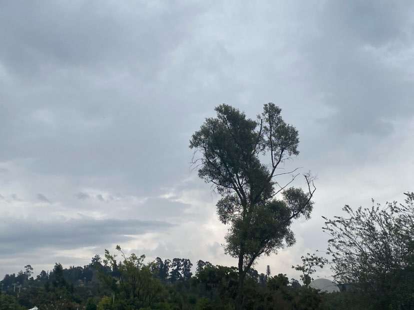 walking near me in Friendship Square in spring