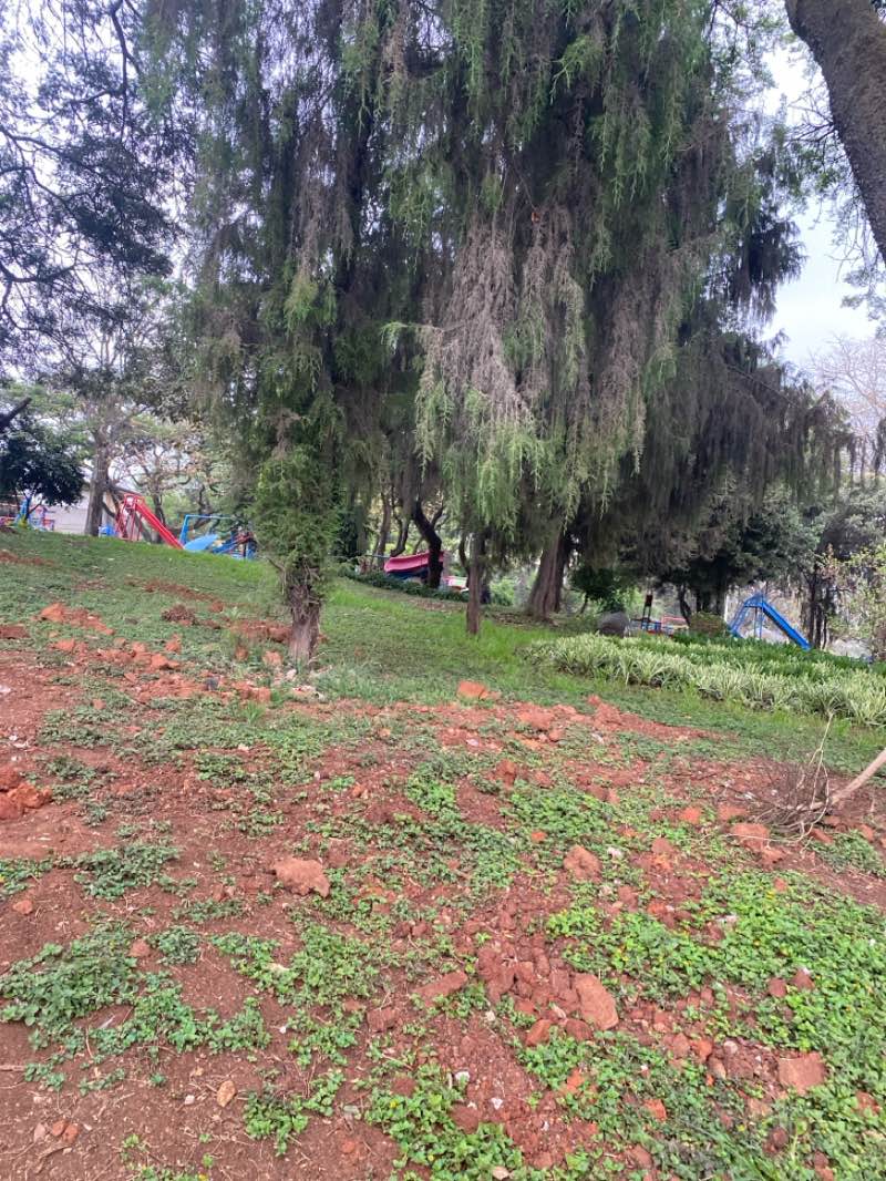 walking near me in Ethiopia-Cuba Friendship Memorial Park in spring