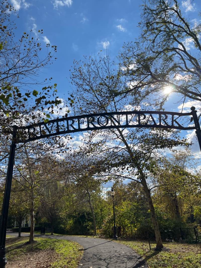 walking near me in Victory Park in autumn