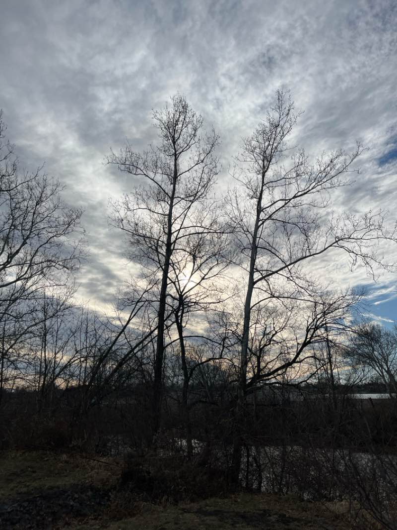 walking near me in Riverfront Park in winter