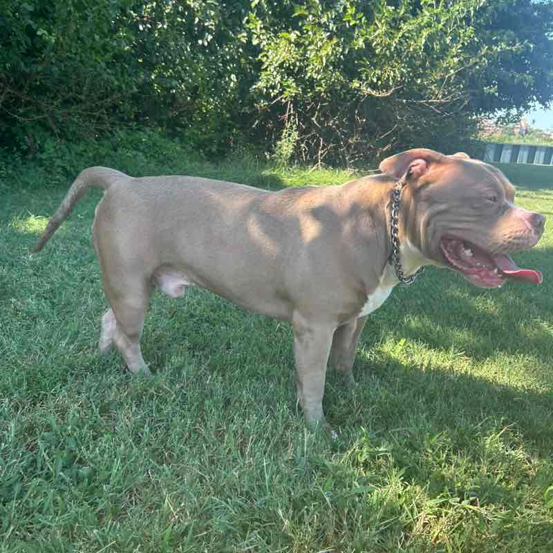 Wake the 8 DC Wake the 8 DC post image