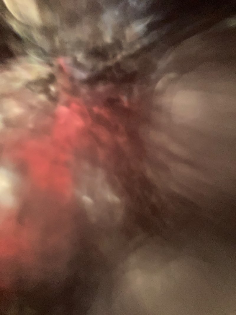 walking near me in Parque Arrollo de la Plata in winter