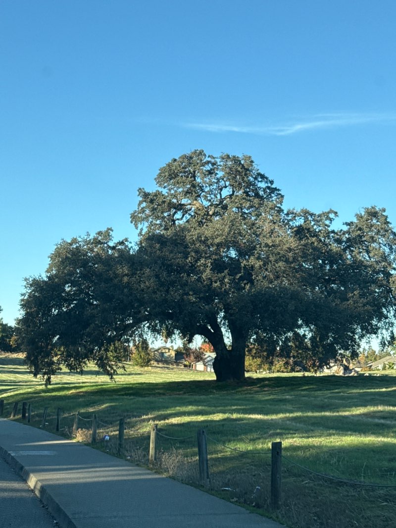 walking near me in Antelope Community Park in autumn