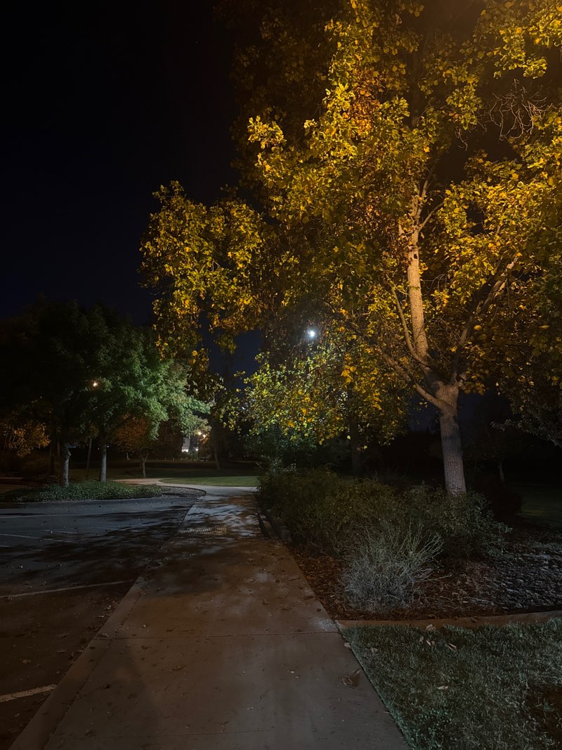 walking near me in Firestone Park in autumn