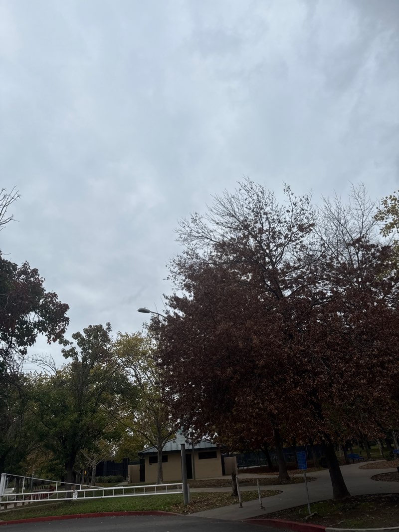 walking near me in Tetotom Park in autumn