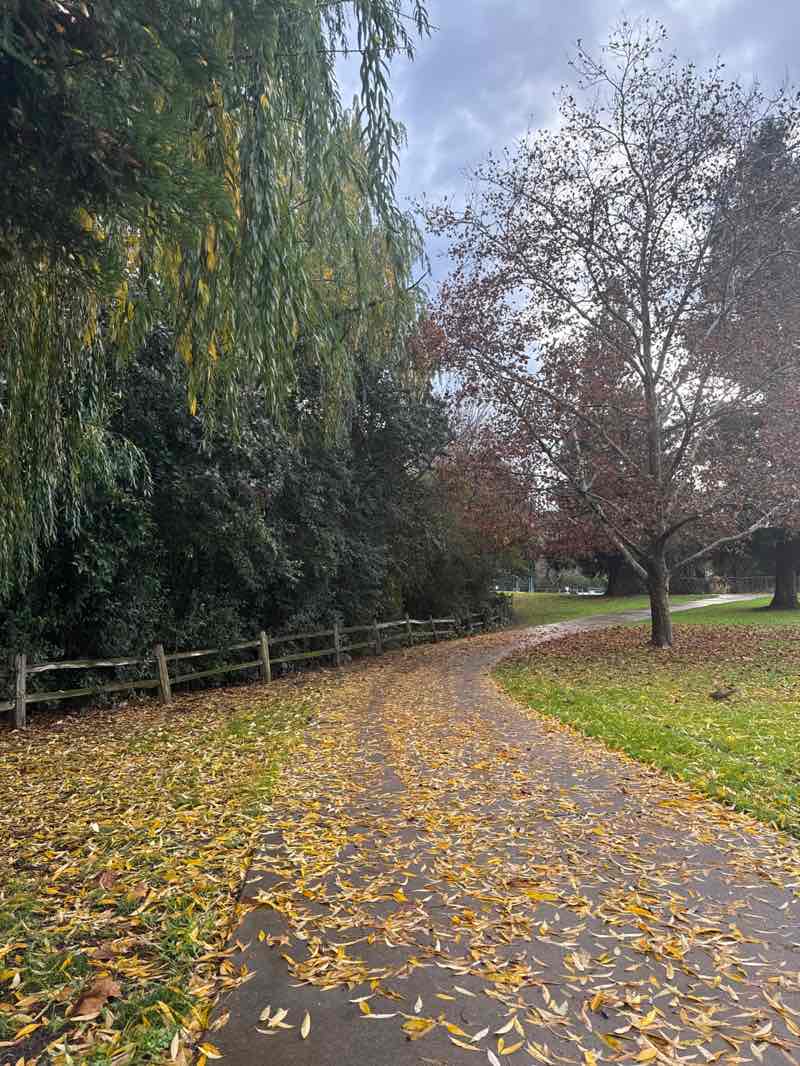 walking near me in Howe Park in winter