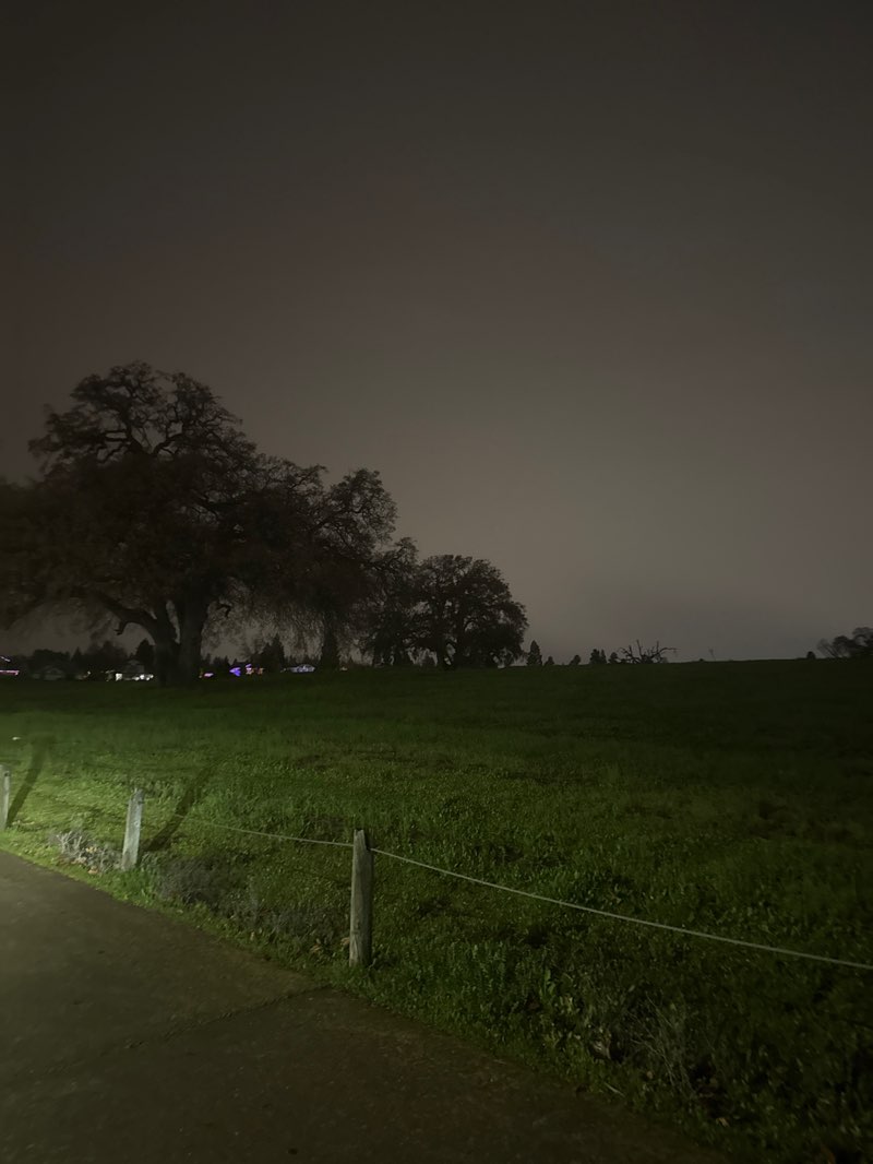 walking near me in Antelope Community Park in winter