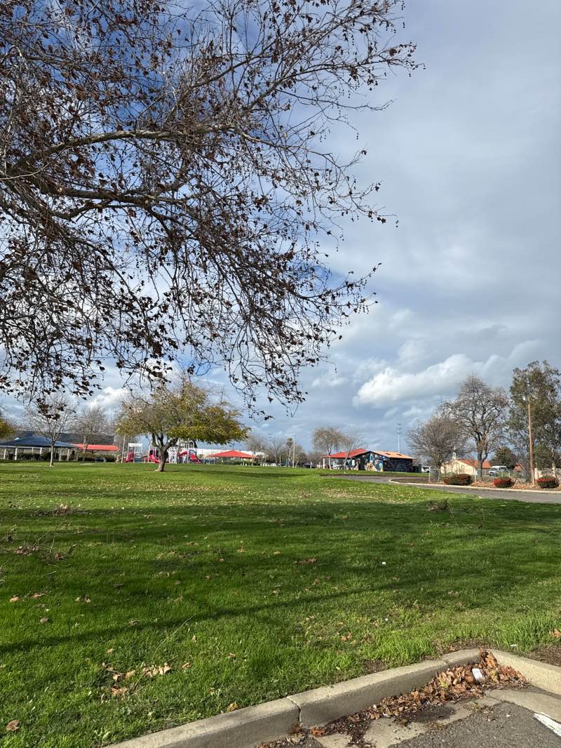 walking near me in Freedom Park in winter
